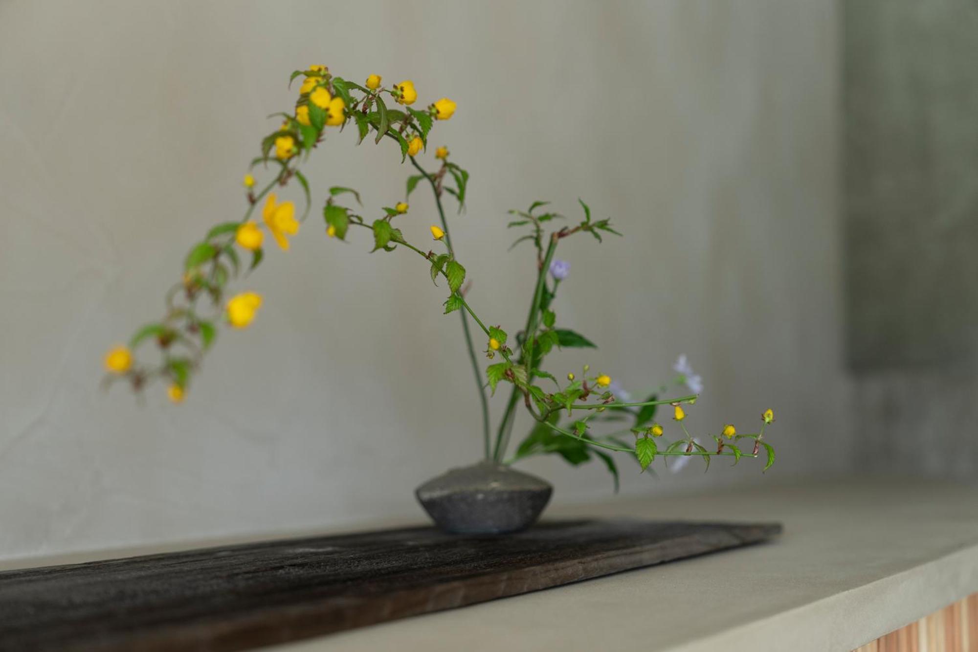 鸭半度假屋 京都 客房 照片